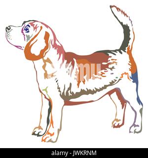 Bunt dekorativ Portrait von ständigen im Profil Beagle, Vektor isoliert Abbildung auf weißem Hintergrund Stock Vektor