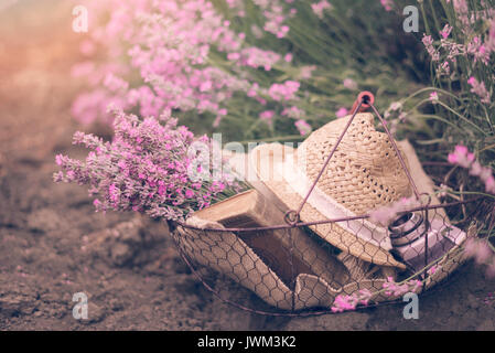 Korb mit Lavendel Bouquet, alte antike Kamera und Ball mit Garn. Lavendelblüten zwischen den Reihen von Lavendel Feld. Lila Tönen, sonnigen diesig, haz Stockfoto