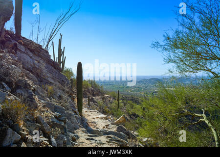 Sabino Canyon, Arizona, USA - Wanderwege Stockfoto