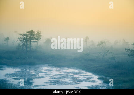 Eine verträumte Landschaft Sumpf vor dem Sonnenaufgang. Bunte, Misty. Marsh Landschaft mit See. Schönen künstlerischen Stil Foto. Stockfoto