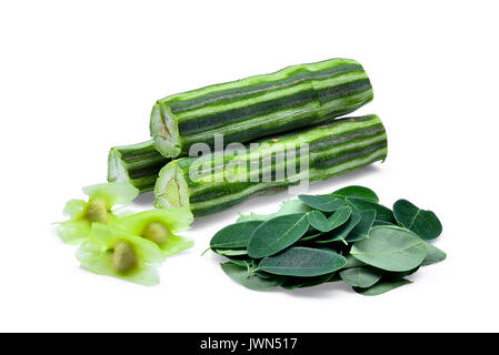 Pod von moringa (drumstick Tree) mit Laub, tropischen Kräutern auf weißem Hintergrund Stockfoto