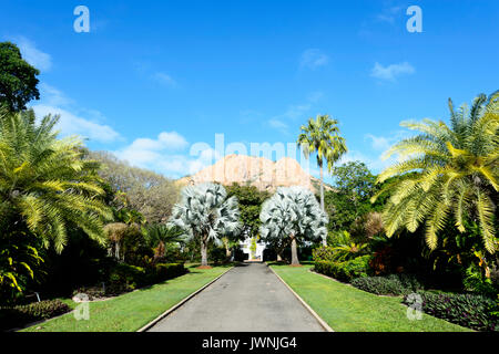 Queen's Park Botanischer Garten mit Blick auf Castle Hill im Hintergrund, Townsville, Queensland, Queensland, Australien Stockfoto