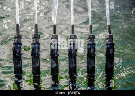 Reihe von sechs hohen Druck metall Düsen auf einem Brunnen spritzflüssigkeiten von Wasser in der Luft in einem dekorativen Display, Ansicht schließen Stockfoto