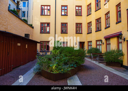 Green Bush im Hof der livilng blockieren. Stockholm, Schweden. Stockfoto