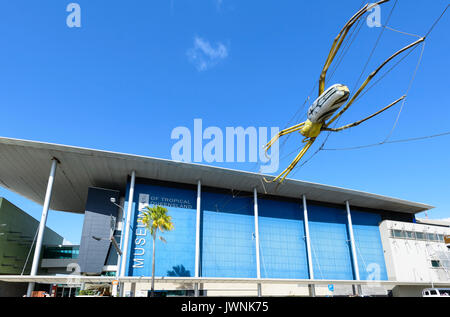 Museum des tropischen Queensland mit einer Spinne hängen draußen, Townsville, Queensland, Queensland, Australien Stockfoto