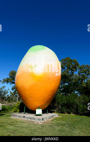 Die großen Mango, Bowen, Queensland, Queensland, Australien Stockfoto