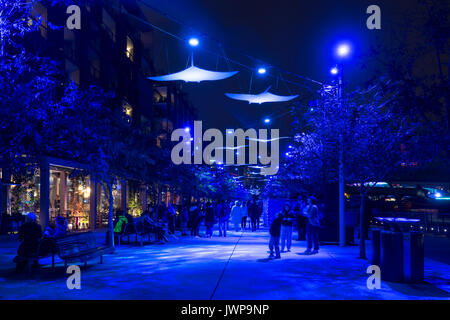 2017 Vivid Sydney Lichtinstallationen rund um Circular Quay, Sydney Stockfoto