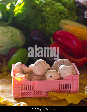 Champignons in einem Korb auf einem Hintergrund von Gemüse Stockfoto