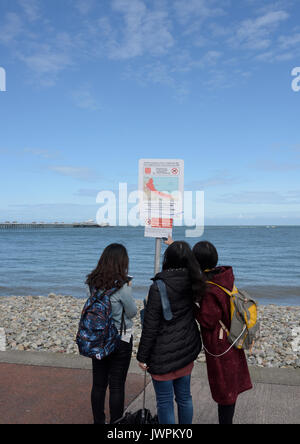 Drei junge Touristen, die auf der Promenade stehen und einen Warnhinweis sehen, eine Frau zeigt auf llandudno conwy North wales uk Stockfoto