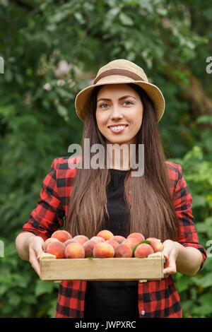 Portrait von glücklichen jungen Frau Gärtner mit Kiste frische reife Pfirsiche. Mädchen Bauer. Die Ernte der Früchte. Gartenbau, Landwirtschaft, Ernte Konzept Stockfoto