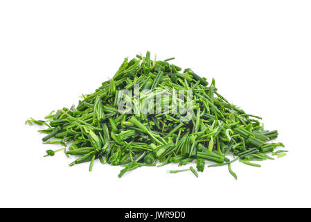 Stapel der Scheibe grün senegalia pennata Blatt oder oder Cha om auf weißem Hintergrund Stockfoto