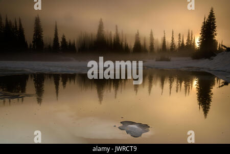 Sunrise at Mount Rainier Stockfoto