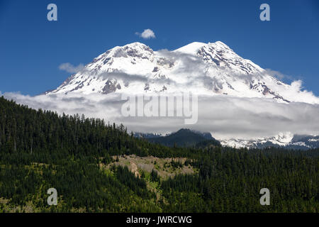 Mount Rainier Stockfoto