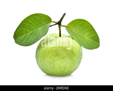 Single frische Guave Obst mit grünen Blättern auf weißem Hintergrund Stockfoto