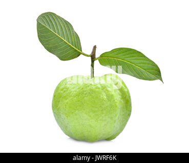 Single frische Guave Obst mit grünen Blättern auf weißem Hintergrund Stockfoto