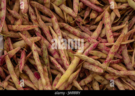 Eine Tabelle ist mit Cranberry Beans (aka rosecoco Bean) zum Verkauf auf einem Markt in Istanbul gefüllt Stockfoto