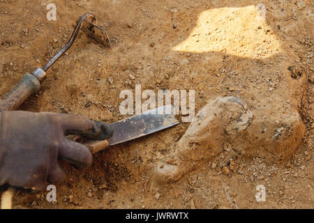 Archäologische Tools, Archäologe Arbeiten vor Ort, Nahaufnahme, Hand und Werkzeug. Stockfoto