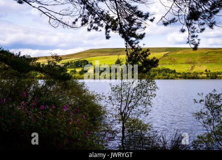 Große Manshead Hill Stockfoto