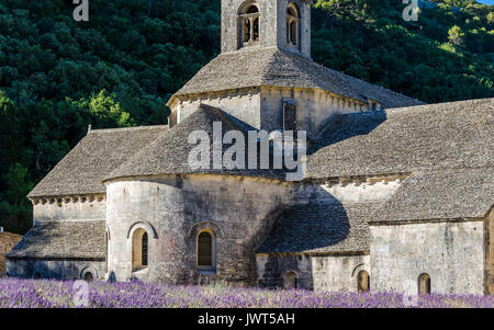 ABBAYE DE SENANQUE, VAUCLUSE 84 FRANKREICH Stockfoto