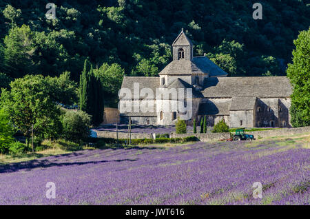 ABBAYE DE SENANQUE, VAUCLUSE 84 FRANKREICH Stockfoto