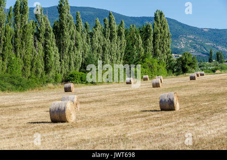 SAULT, BALLOTS DE FOIN, VAUCLUSE 84 FRANKREICH Stockfoto