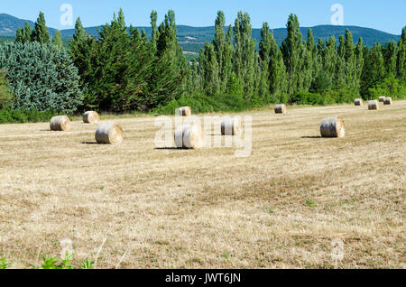 SAULT, BALLOTS DE FOIN, VAUCLUSE 84 FRANKREICH Stockfoto