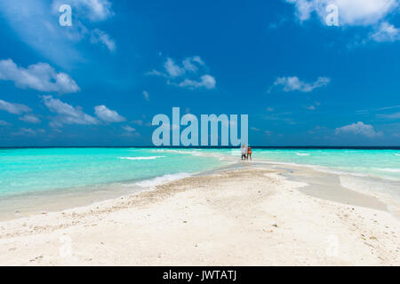 Dhigufinolhu, Malediven - Februar 29, 2016: Wenige Menschen genießen, sonnigen Tag in einer Sandbank in der Nähe von Dhigufinolhu in Malediven mit wenigen Menschen Stockfoto