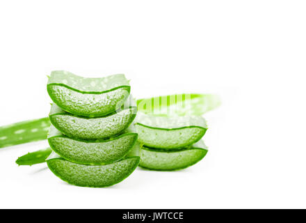 Aloe Vera sloced und ganze auf weißem Hintergrund. Stockfoto