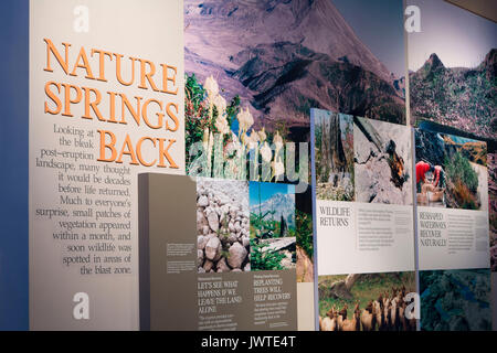 Museum Ausstellung, Spirit Lake Memorial Highway, Wald Learning Center, Washington Stockfoto