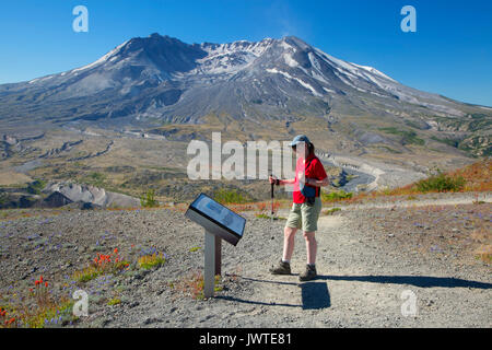 Boundary Trail Interpretive Board zu Mt St Helens, Mount St. Helens National Volcanic Monument, Washington Stockfoto