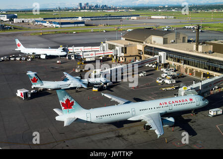 Eine Auswahl von Air Canada und Air Canada Express Verkehrsflugzeuge an am internationalen Flughafen von Calgary Alberta Kanada Stand Stockfoto