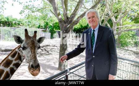 Hamburg, Deutschland. 31. Mai, 2017. Der ehemalige Zoodirektor Claus Hagenbeck steht neben dem Giraffe im Tierpark Hagenbeck in Hamburg, Deutschland, 31. Mai 2017. Foto: Markus Scholz/dpa/Alamy leben Nachrichten Stockfoto