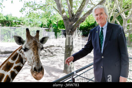 Hamburg, Deutschland. 31. Mai, 2017. Der ehemalige Zoodirektor Claus Hagenbeck steht neben dem Giraffe im Tierpark Hagenbeck in Hamburg, Deutschland, 31. Mai 2017. Foto: Markus Scholz/dpa/Alamy leben Nachrichten Stockfoto