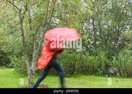 Mann mit dem roten Regenschirm und Regenjacke laufen durch den Park bei schwerem Regen. England. Großbritannien Stockfoto