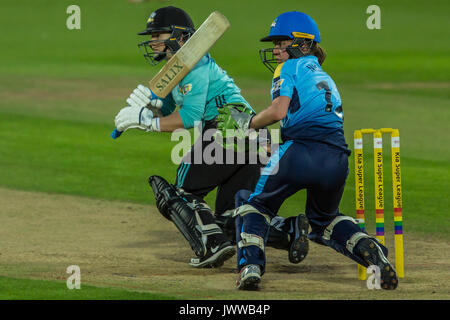 London, Großbritannien. 13 Aug, 2017. Tammy Beaumont schlagen für Surrey Sterne gegen Yorkshire Diamanten in der Kia Super League T20 Cricket Match am Kia Oval. Quelle: David Rowe/Alamy leben Nachrichten Stockfoto