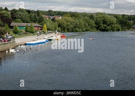 Otley, Leeds, Großbritannien. 14. August 2017. Ruderboote auf River Wharfe, erstmals seit 2001 Credit: Les Wagstaff/Alamy leben Nachrichten Stockfoto