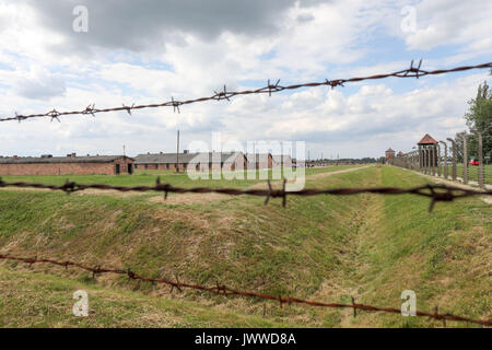 Auf der Suche durch den Stacheldrahtzaun im ehemaligen Konzentrationslager Auschwitz-Birkenau in Oswiecim, Polen, 26. Juni 2017. Die wichtigsten paramilitärischen Organisation im nationalsozialistischen Deutschland, SS (Schutzstaffel, lit. "Schutz Squadron"), lief die Konzentrations- und Vernichtungslager zwischen 1940 und 1945. Eingehende Deportierten wurden in verschiedene Gruppen, die auf der Rampe zwischen den Tracks ausgewählt, nachdem Sie in Birkenau angekommen. Die Menschen, die nicht in der Lage waren zu arbeiten (ältere Menschen, Menschen mit schwachen, Frauen, Kinder) waren manchmal zu den Gaskammern direkt ohne Registrierung gesendet. Etwa 1,1 bis 1,5 Millionen Menschen, die meisten von Stockfoto