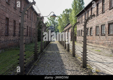 Der Stacheldrahtzaun hatte einen elektrischen Zaun im ehemaligen Konzentrationslager Auschwitz in Oswiecim, Polen, 21. Juni 2017. Die wichtigsten paramilitärischen Organisation im nationalsozialistischen Deutschland, SS (Schutzstaffel, lit. "Schutz Squadron"), lief die Konzentrations- und Vernichtungslager zwischen 1940 und 1945. Etwa 1,1 bis 1,5 Millionen Menschen, die meisten von ihnen Jüdisch, haben im Camp und seine Satelliten getötet worden. Auschwitz steht als Symbol für den industrialisierten Massenmord und der Holocaust von Nazi-deutschland. Foto: Jan Woitas/dpa-Zentralbild/dpa | Verwendung weltweit Stockfoto