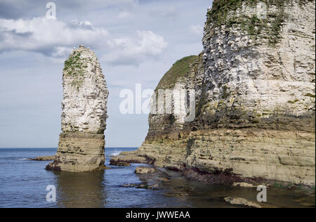 Flamborough Head ist ein Chalk Landspitze auf der Yorkshire Küste Englands und als Sssi ist ein wichtiger Ort für die Erhaltung besonders Seevögel. Stockfoto