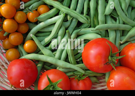 Frische organische sungold Tomaten, Early Girl Tomaten, und Blue Lake pole Beans, von einem Haus Garten im Zentrum von Oregon. Stockfoto