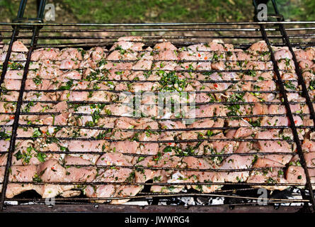 Rohem Hühnerfleisch mit grünen, Tierpräparate für Grill im Freien. Stockfoto