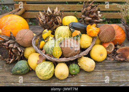 Dekorative Kürbisse (Cucurbita), Artischocken (Cynara Cardunculus syn. Cynara Scolymus) und Kokospalme (Cocos nucifera) Stockfoto