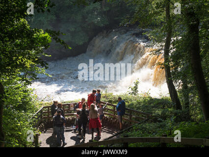 Gruppe von Besuchern Aysgarth fällt, Wensleydale, Yorkshire Dales, England, Großbritannien Stockfoto