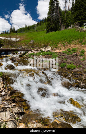 Die Phillips Pass Trail, auch die Verdoppelung der Teton Crest Trail, über einen kleinen Wasserfall vor allem durch Schnee in den Teton Bergen Schmelze zugeführt. Br Stockfoto