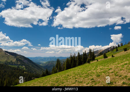 Elche Canyon stretching nachstehend Phillips Pass und in die südlichen Ende der Teton Valley, Idaho unterhalb der Teton Mountains. Jedediah Smith Wüste, Stockfoto