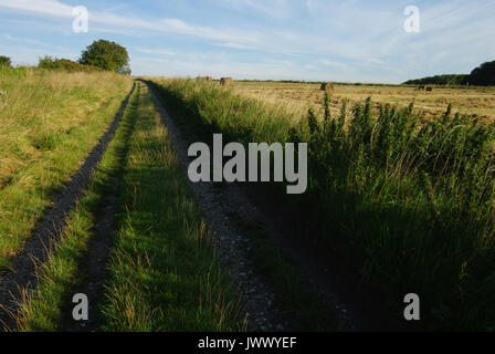 Chitterne, Salisbury, Wiltshire, UK Stockfoto