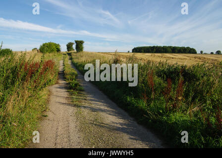 Byeway, Chitterne, Salisbury, Wiltshire, UK Stockfoto