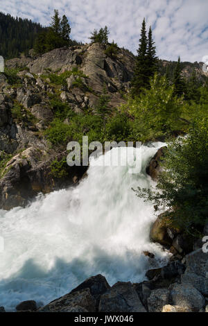 Ein kleiner Wasserfall entlang Granite Creek über Geröll in Granit Canyon der Teton Mountains ausgießen. Der Grand Teton National Park, Wyoming Stockfoto