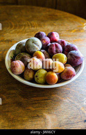 Baum gereifte heimische Gelbe, rote und grüne Pflaumen. Stockfoto