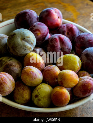 Baum gereifte heimische Gelbe, rote und grüne Pflaumen. Stockfoto